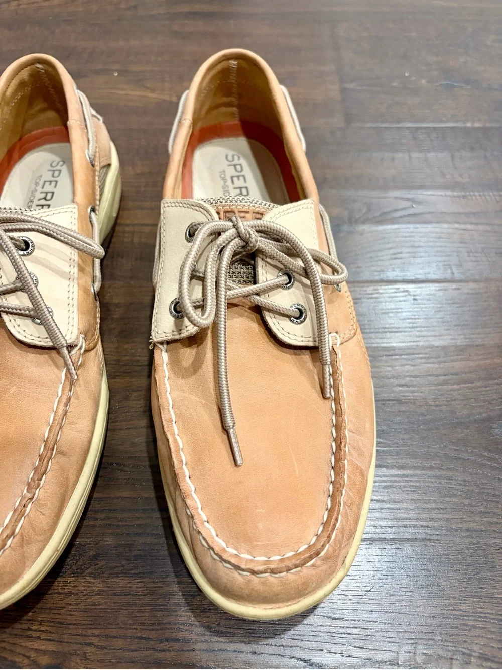Sperry brand color